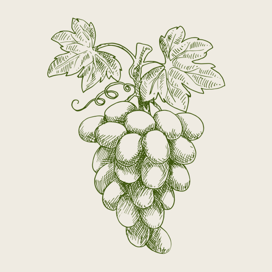 querfeldwein Specials: Querfeldwein-Erlebnistage