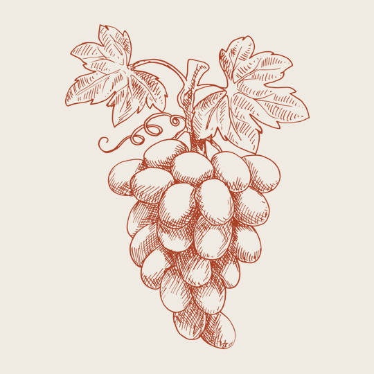 querfeldwein Specials: Weinprobe