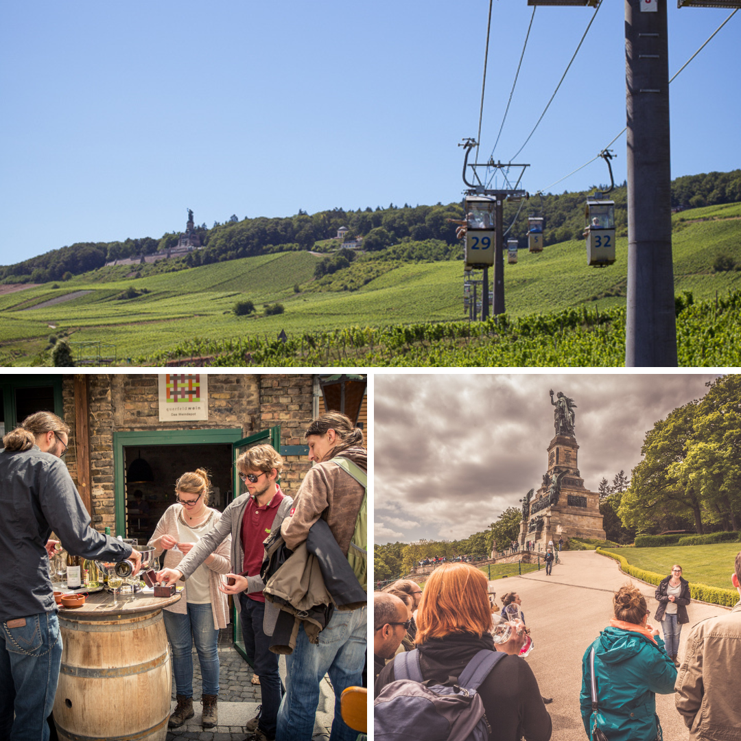 Querfeldwein: Aktuelle Specials_Probieren-Studieren