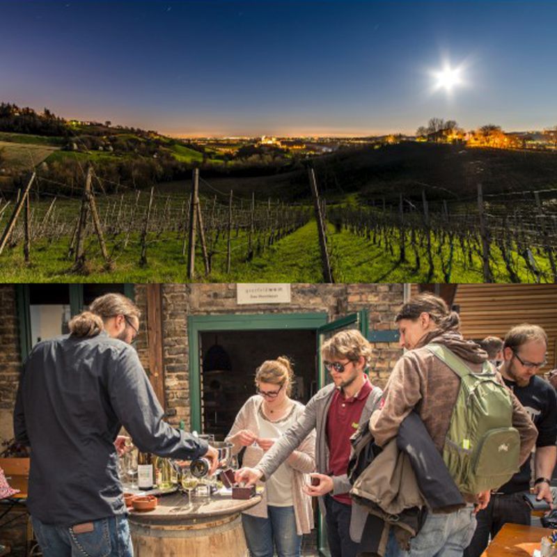 querfeldwein Specials: Weinprobe